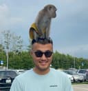 Yernur Abutaliyev avatar